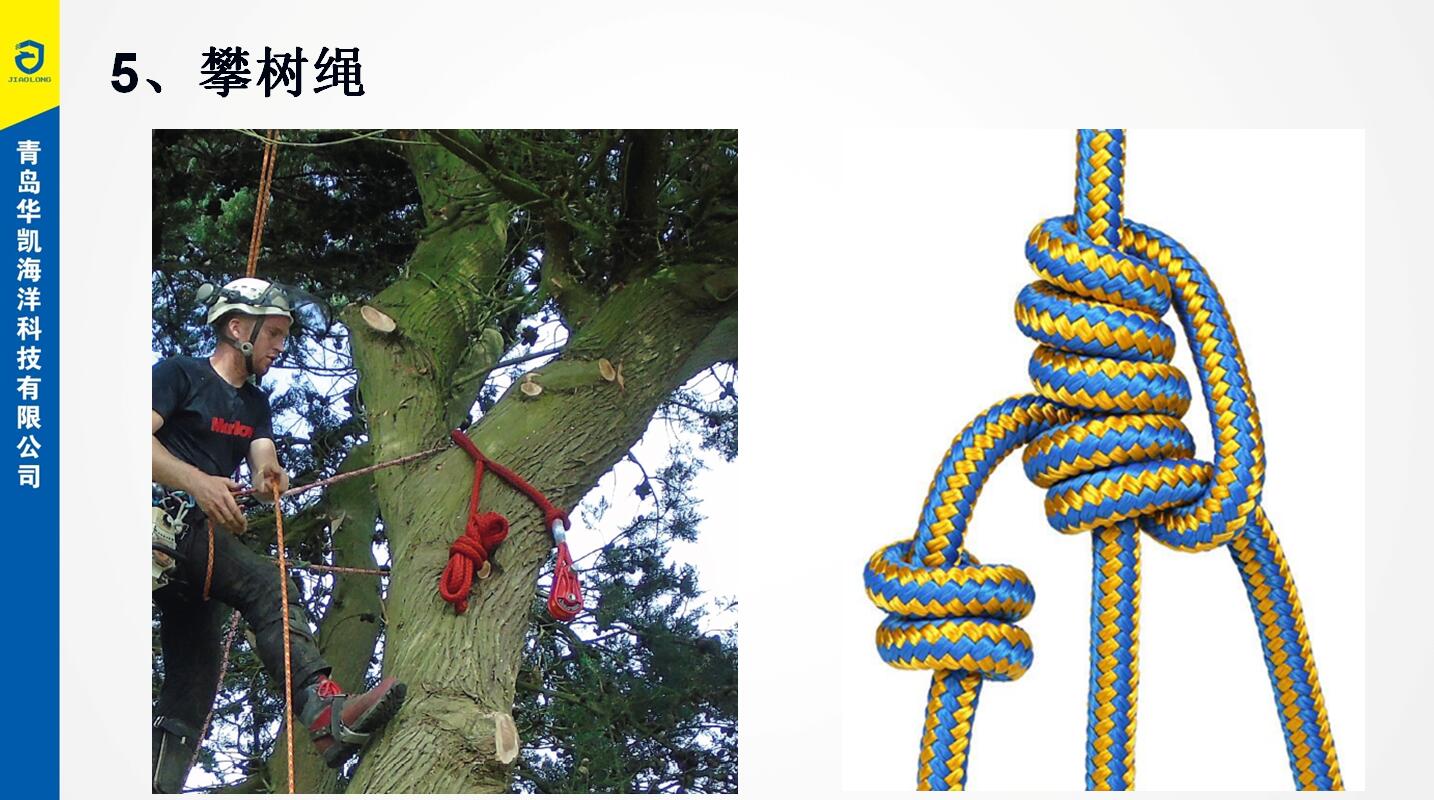 攀树绳